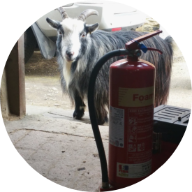 Fire Extinguisher Inspection